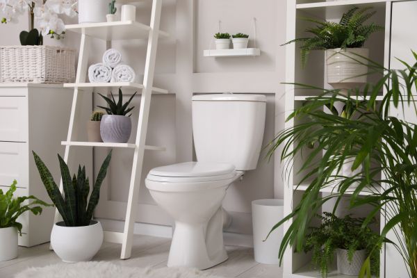 Cost of Toilet Repair in Vallejo