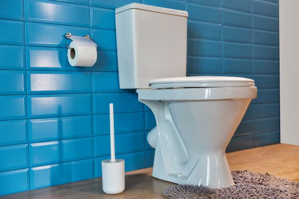 Cost of Toilet Tank Repair in Vallejo