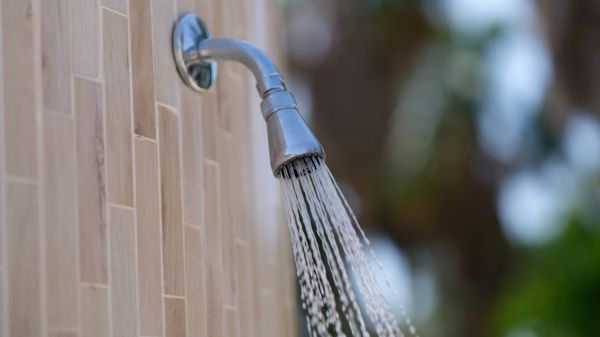 Cost of Showerhead Repair in Vallejo